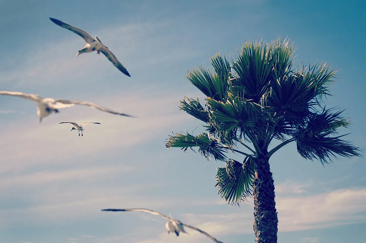 Coastal scene at Shell Beach in Pismo Beach, California